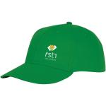 Ares 6 panel cap Fern green