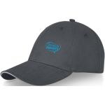 Darton 6 panel sandwich cap Graphite