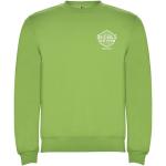 Clasica unisex crewneck sweater, oasis green Oasis green | XS