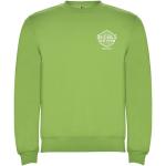 Clasica Sweatshirt mit Rundhalsausschnitt Unisex, Oasis Grün Oasis Grün | XS