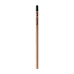 Sprout™ | Pencil Chrysanthemum red