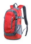 Densul backpack Red