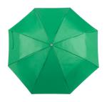 Ziant Regenschirm Grün