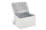 R-PET 6 Can cooler bag non-woven 20x 13 x 12.5cm 75g/m² White