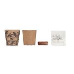 MINT KIT Pflanz-Set Minze Beige