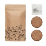 FRESA KIT Strawberry growing kit Fawn