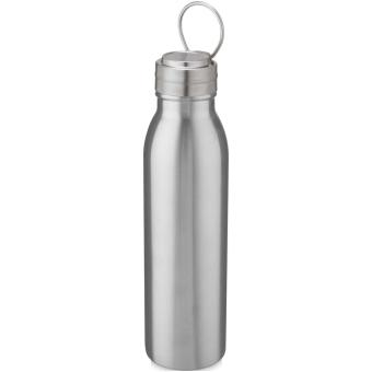 Harper 700 ml stainless steel water bottle with metal loop 