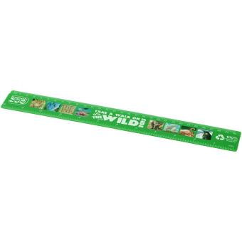 Refari 30 cm recycled plastic ruler Green