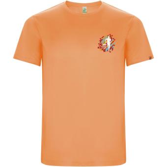 Imola 135 g/m² short sleeve men's sports t-shirt, fluor orange Fluor orange | L
