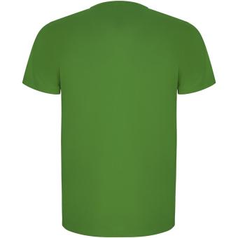 Imola short sleeve men's sports t-shirt, green fern Green fern | L