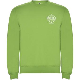 Clasica unisex crewneck sweater, oasis green Oasis green | XS