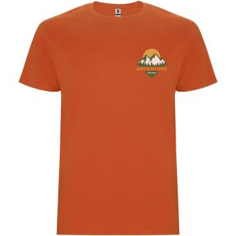 Stafford short sleeve men's t-shirt, orange Orange | L