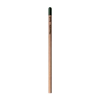 Sprout™ | Pencil Chrysanthemum red