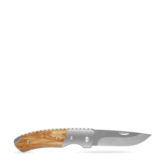 RICHARTZ® LEO 200 olive Silber