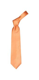 Colours necktie Orange