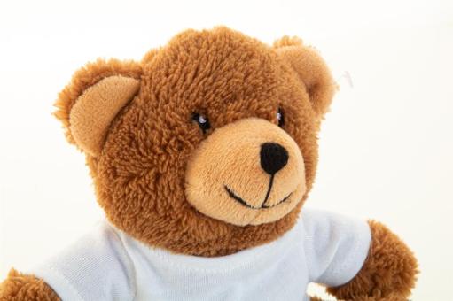 Rebear RPET plush teddy bear Brown