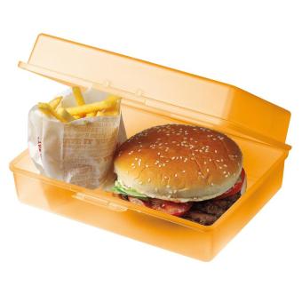 Lunch box "Picnic" Milky transparent