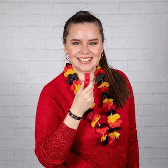 Fanset "Laola" Deutschland Farben