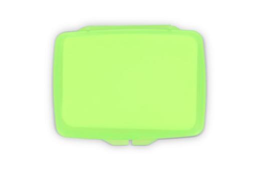 Washé Soap leaves Green/green