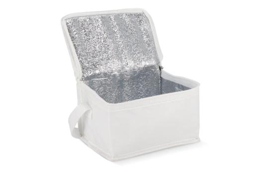 R-PET 6 Can cooler bag non-woven 20x 13 x 12.5cm 75g/m² White