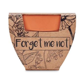 Terracotta pot 'forget me not' Timber