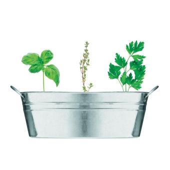 MIX SEEDS Zinc tub with 3 herbs seeds Flat silver