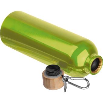 Stainless steel drinking bottle with carabiner, 750ml Apple green