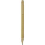Fabianna crush paper ballpoint pen (black ink) 