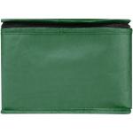 Spectrum 6-can recycled non-woven cooler bag 4L Green