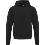 Danali 350 g/m² unisex interlock sports hoodie, black Black | XXS