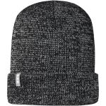 Rigi reflective beanie Black