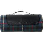 Park water and dirt resistant picnic blanket Black/green