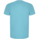 Imola short sleeve men's sports t-shirt, turqoise Turqoise | L