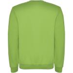 Clasica Sweatshirt mit Rundhalsausschnitt Unisex, Oasis Grün Oasis Grün | XS