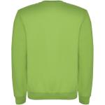 Clasica unisex crewneck sweater, oasis green Oasis green | XS