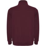 Aneto quarter zip sweater, garnet Garnet | L