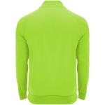 Epiro long sleeve unisex quarter zip sweatshirt, fluor green Fluor green | L