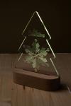 Woodify Xmas Christmas tree LED light trophy Nature