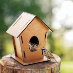 Tomtit bird house Nature