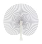 Vasto fan 