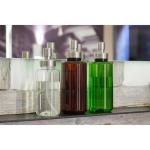 Spray bottle "Superior", 0.7 litre, transparent Transparent green