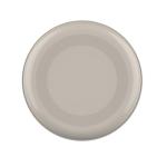 Eco-Flying Disc "Space Flyer 22" Mint
