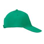 BUZZ 5-Panel-Baseball-Cap Grün