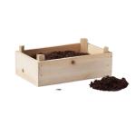 Strawberry kit in wooden crate Timber