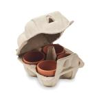 CRESS Egg carton growing kit Fawn