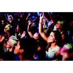  TYVEK One sheet of 10 wristbands Red