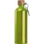 Stainless steel drinking bottle with carabiner, 750ml Apple green
