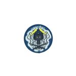 Customizable Patches Pentone (request color)