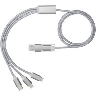 Versatile 5-in-1 charging cable Silver