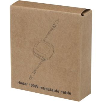 Hadar 100W recycled plastic retractable CarPlay cable PD charging cable Silver